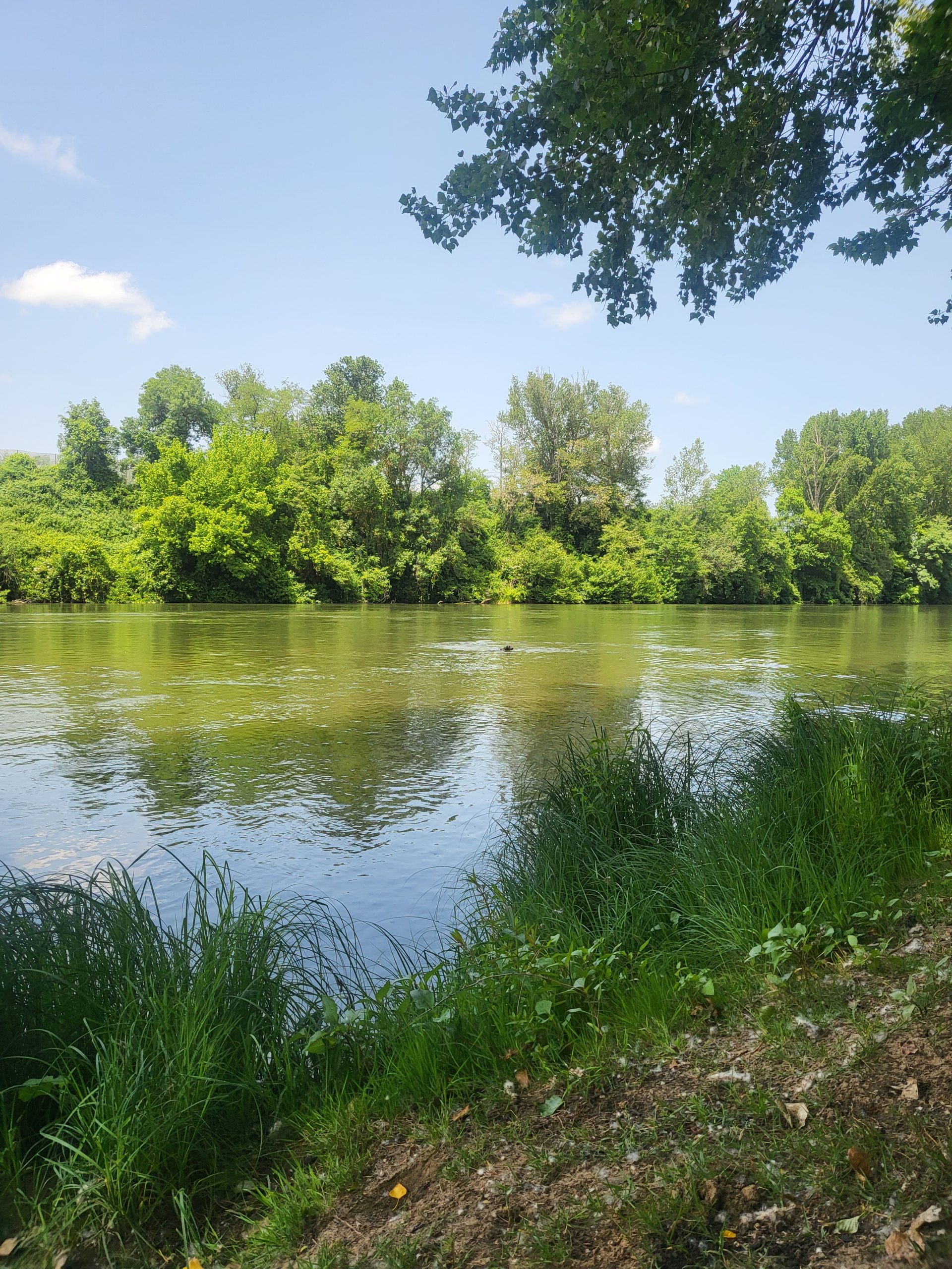 Jardin bord du Tarn
